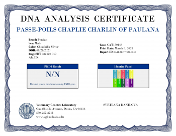 2021-02-07-Chaplie-VGL_Test-Report