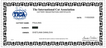 1_CATTERY_CERTIFICATE_PAULANA-crop