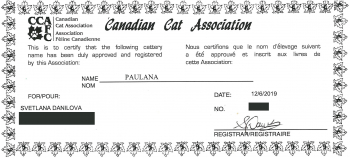 2019-12-06-CCA-Paulana-Cattery-Registration-Cert-NoSensitive